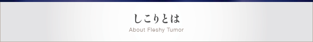 しこりとは