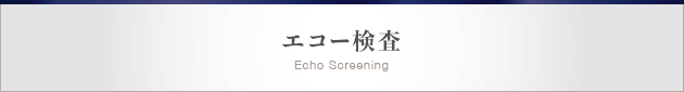 エコー検査