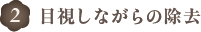 目視しながらの除去