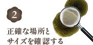 正確な場所とサイズを確認する