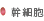 幹細胞