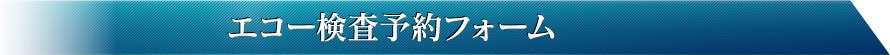 ご予約内容入力フォーム